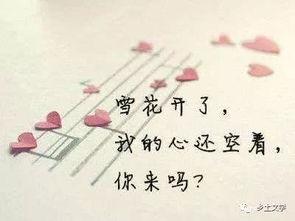 娱乐吃瓜酱伤感语录短句,娱乐吃瓜酱的内心独白